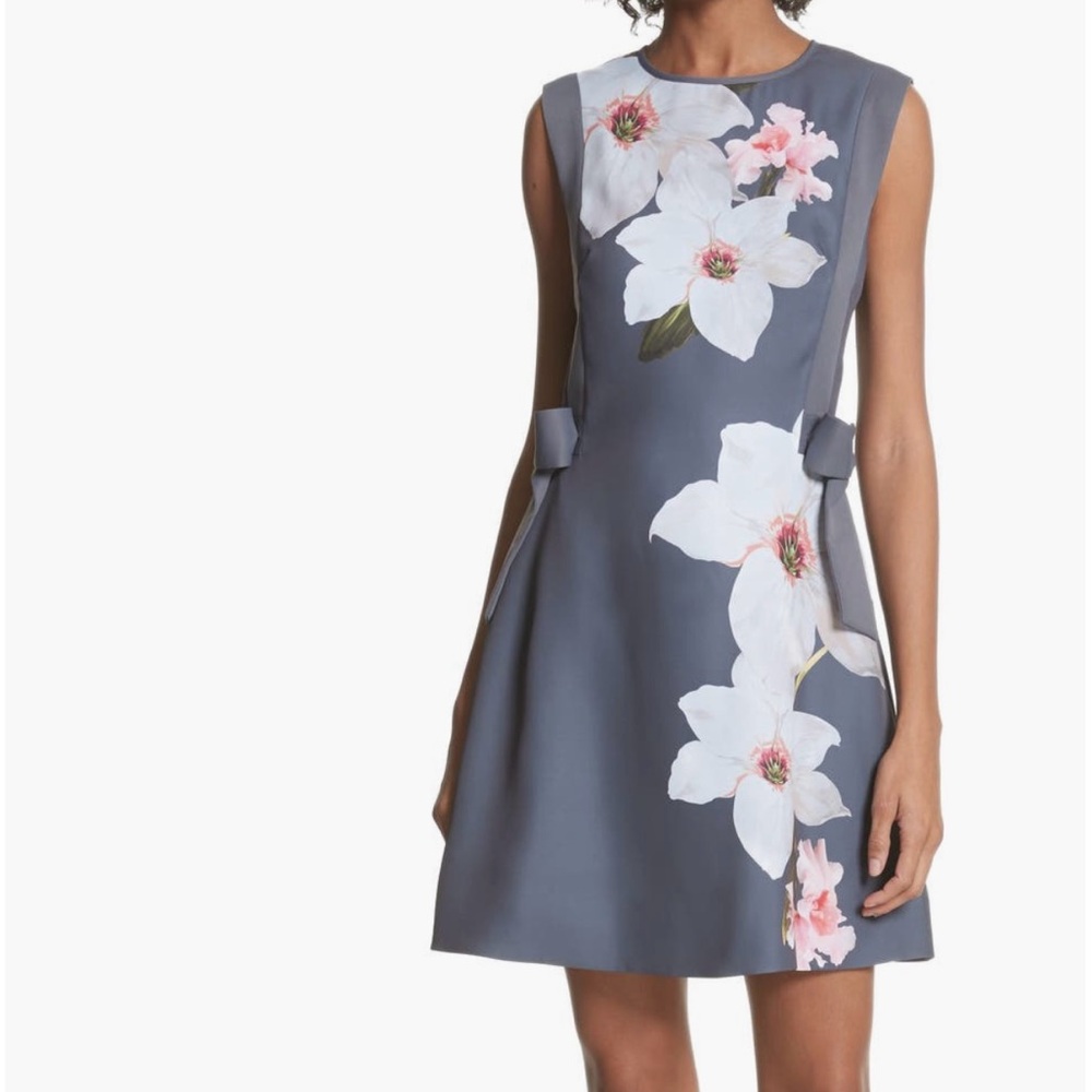 Ted Baker London Chatsworth A-line Gray Floral Dress size 1